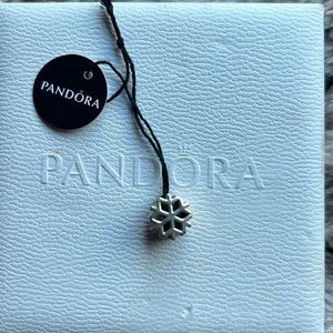 Pandora charm
